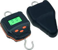 Digital Scales