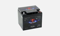LiFePO4 - 60Ah - 12,8V - Accu