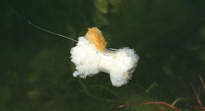 Zig & broodbevestiging