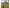 Avid Carp All - Terrain Yard Sticks - Distance Sticks - KarperCentrale