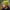 Avid Carp Marl Knit Beanie - Yellow - KarperCentrale