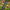 Avid Carp React 10FT - karperhengel - semi telescopic - KarperCentrale
