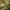 Avid Carp React 10FT - karperhengel - semi telescopic - KarperCentrale
