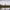 Avid Carp React 10FT - karperhengel - semi telescopic - KarperCentrale