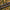 Avid Carp React 10FT - karperhengel - semi telescopic - KarperCentrale