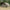Avid Carp Revolve NG Bivvy - 2 Person - KarperCentrale