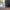 Avid Carp Stormshield Camo - EVA Carry all - 50L - KarperCentrale