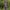 Avid Carp Termite - Softshell Jacket - KarperCentrale