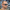 Booster Carp 'Kool Guy' Zonnebril - Zwarte lens - KarperCentrale