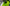 Booster Carp Medium Bait Boat - Hi - Viz - Basic - KarperCentrale