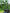 Carp Porter Stealth Carp Porter Green       - KarperCentrale