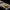 Carp Whisperer Heli Chod Leader - Buffer System - 120cm - Ready Made - KarperCentrale