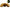 CC Solution Boilies Honey Citrus Boilies - 15KG - Box Deal - KarperCentrale