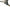 Fox Horizon Duo Rod Pod Camou - 3 Rods (Incl. GRATIS 2x 36'' Legs) - KarperCentrale