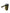 HOLDCarp Smart Rechargable Tap - KarperCentrale