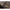JRC Rova - 60'' Oval Brolly - Camo - KarperCentrale