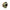 Korda N - TRAP - 20m - Semi Stiff - Gravel - KarperCentrale