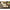 Korda Pop - up Dumbell Banoffee (12mm) - 8 pcs - KarperCentrale