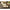 Korda Pop - up Dumbell Banoffee (8mm) - 10 pcs - KarperCentrale