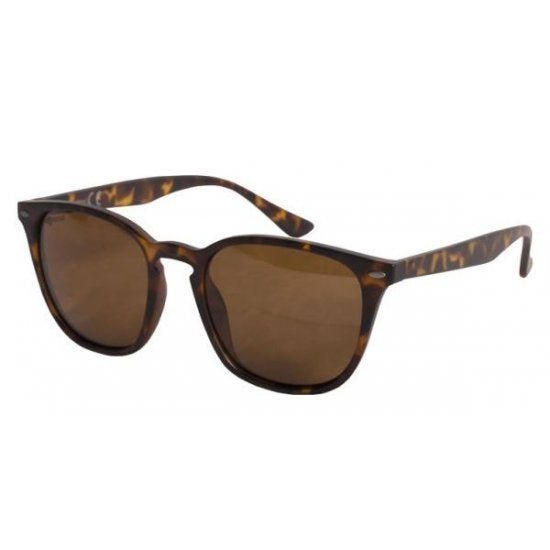 Shoreditch - Matt Tortoise Shell/ Brown Lens