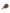 Korda Square Pear Swivel - Textured - KarperCentrale