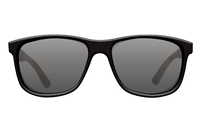 Sunglasses Classics Matt Black Shell