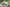 Nash Tackle Indulgence - Pillow Camo - Wide - KarperCentrale