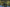 Nash Tackle Scope Black Ops - 10FT - 3.5LB - KarperCentrale