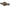 Nash Tackle Scope OPS - Hi Protect - 2 Rod Skin - 9FT - KarperCentrale