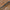 PB Products Hit & Run - R2G SR - Leadclip Leader - 90cm - KarperCentrale