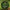 PB Products Hollow Braid - 25LB - 450M - Spliceable mainline - KarperCentrale