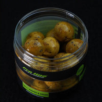 Proline Sweet Maggot & Cream - Hard Hookbaits - 20mm - KarperCentrale
