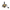 Shimano Aerlex - XSC - Gold Spool - 14.000 - KarperCentrale