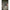 Shimano TX - Specialist - Lite - Intesity - 9ft - KarperCentrale