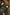 Trakker NXG - Buzzer Bar Bag - KarperCentrale