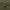 Trakker NXG - PVA Pouch - XL - KarperCentrale