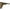 Trakker TechPro - Floating Sunglasses - KarperCentrale