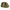 Trakker Tempest - Brolly - 100T - Skull Cap Wrap - KarperCentrale